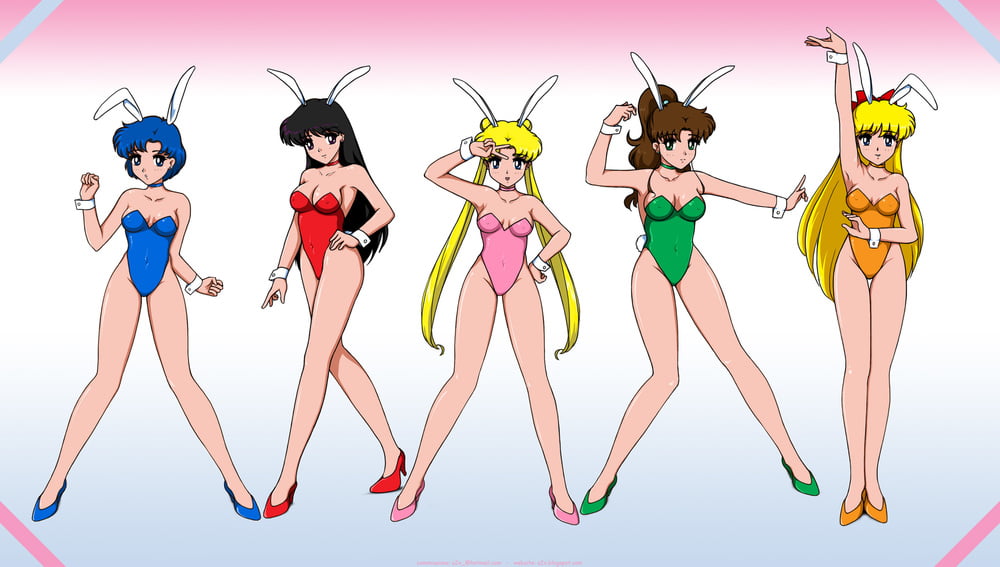 The Female Characters of: Sailor Moon #105782626