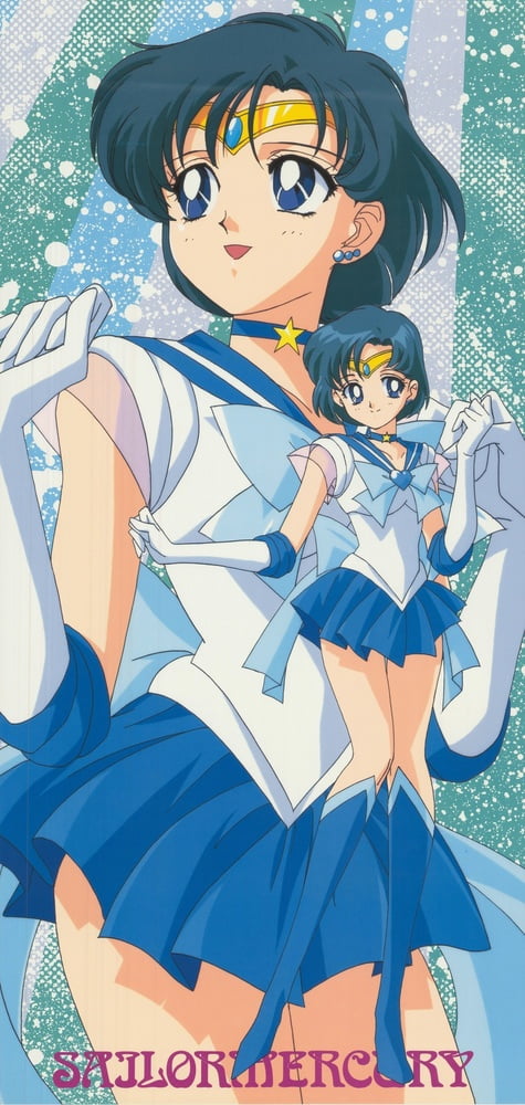 The Female Characters of: Sailor Moon #105782665