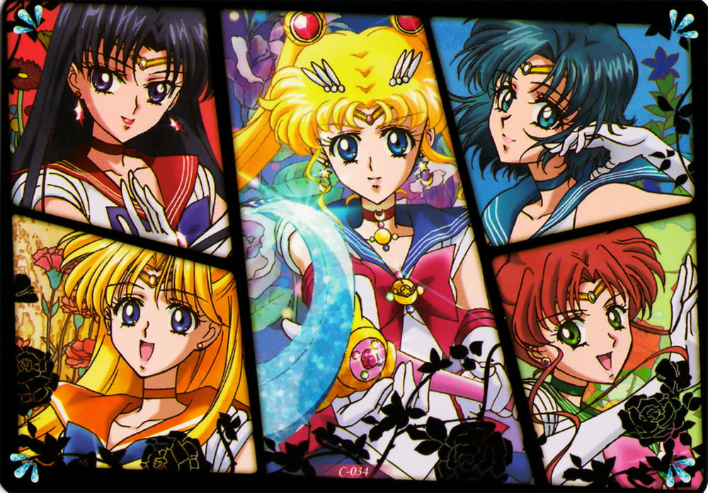 The Female Characters of: Sailor Moon #105782686