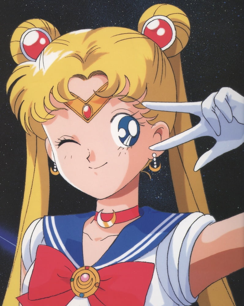 The Female Characters of: Sailor Moon #105782713