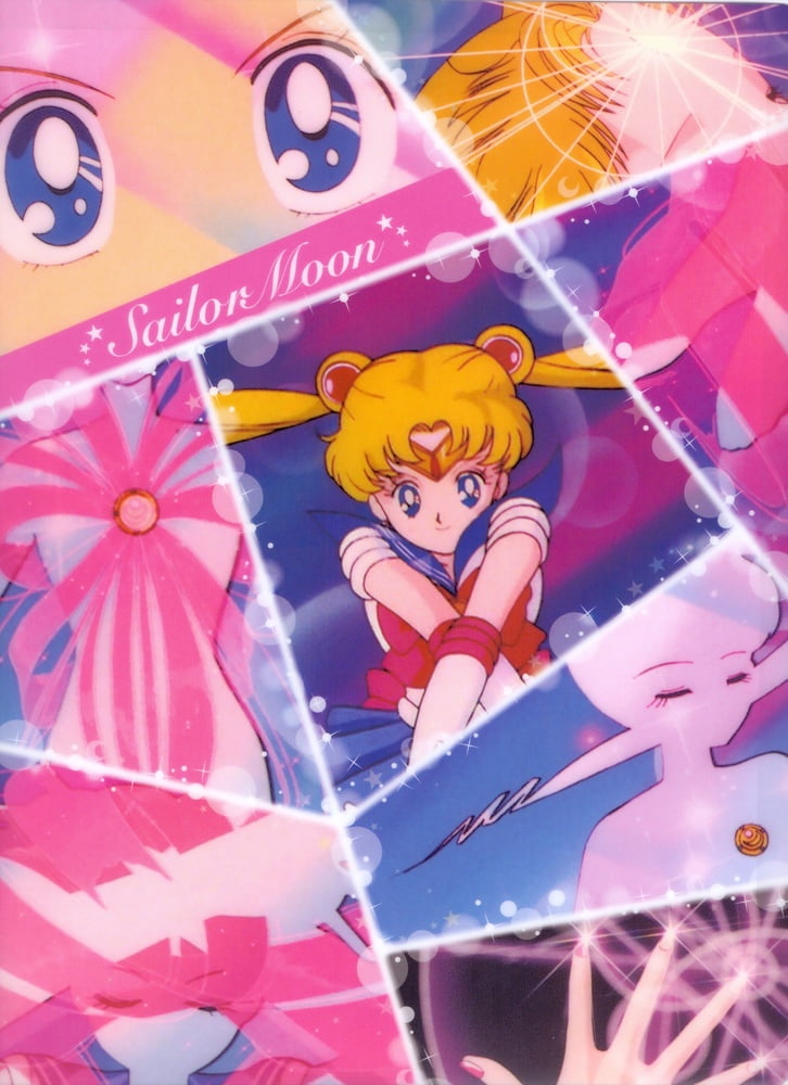 The Female Characters of: Sailor Moon #105782714