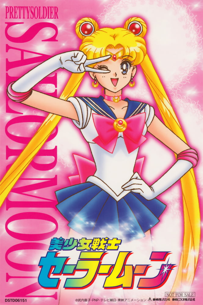 The Female Characters of: Sailor Moon #105782716