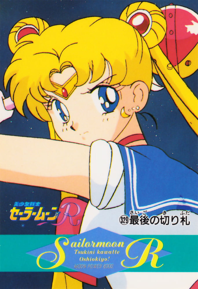 The Female Characters of: Sailor Moon #105782718
