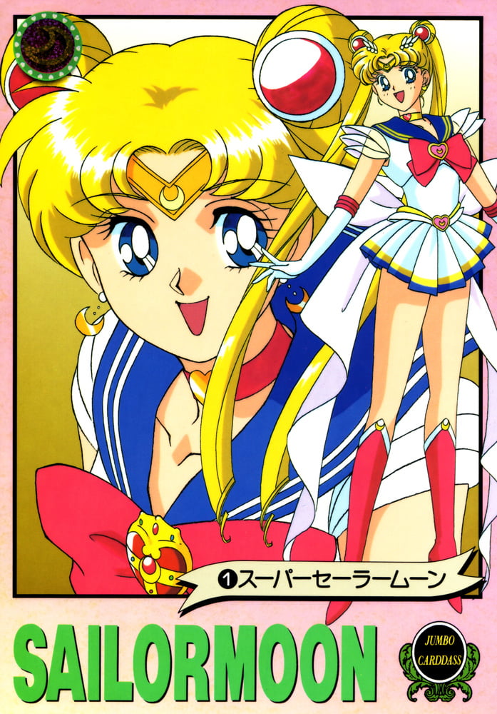 The Female Characters of: Sailor Moon #105782721