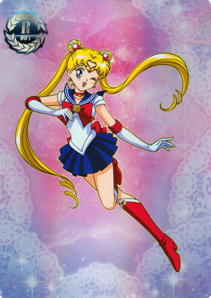 The Female Characters of: Sailor Moon #105782725