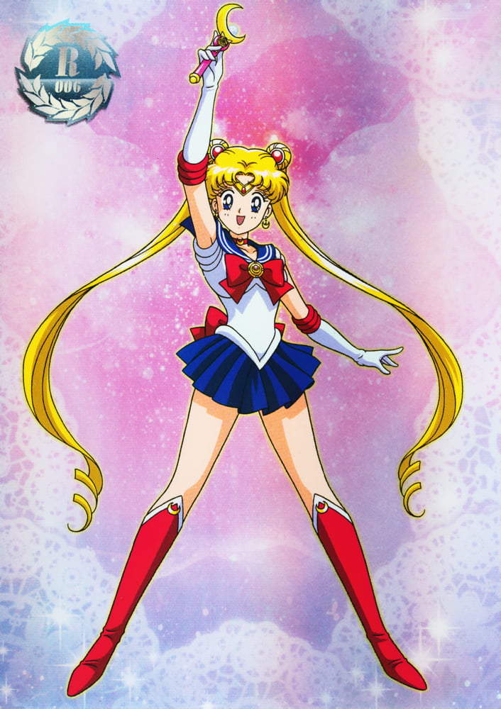 The Female Characters of: Sailor Moon #105782726