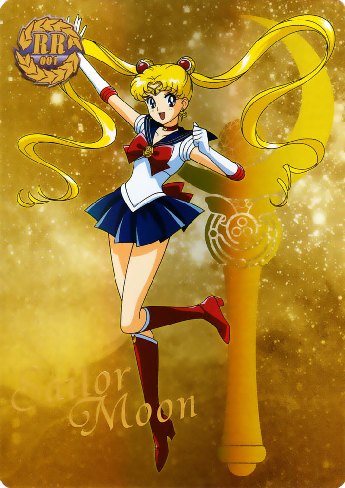 The Female Characters of: Sailor Moon #105782727