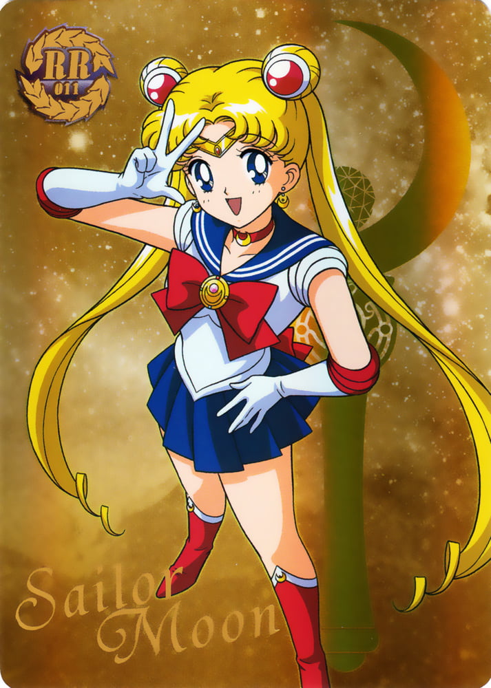 The Female Characters of: Sailor Moon #105782728