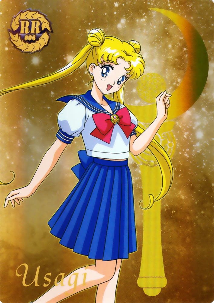 The Female Characters of: Sailor Moon #105782729