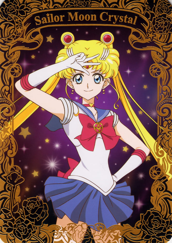 The Female Characters of: Sailor Moon #105782730