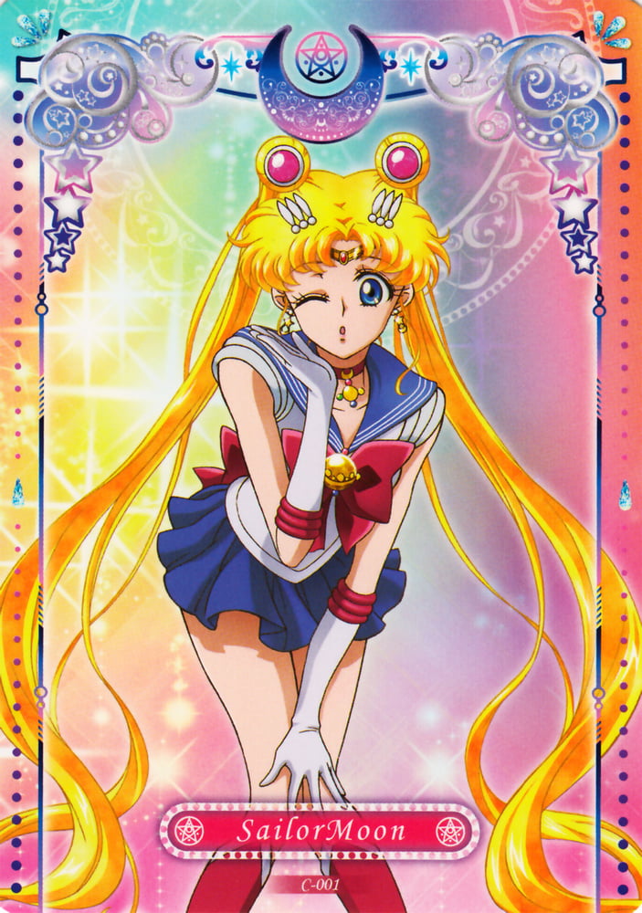 The Female Characters of: Sailor Moon #105782732