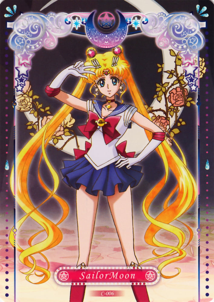 The Female Characters of: Sailor Moon #105782733