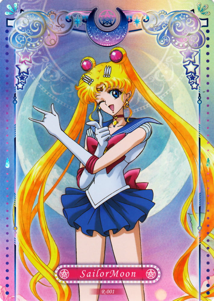 The Female Characters of: Sailor Moon #105782735