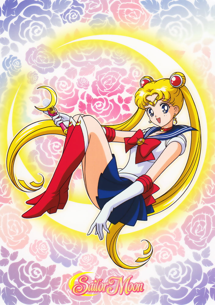 The Female Characters of: Sailor Moon #105782738