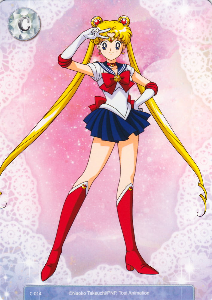 The Female Characters of: Sailor Moon #105782739