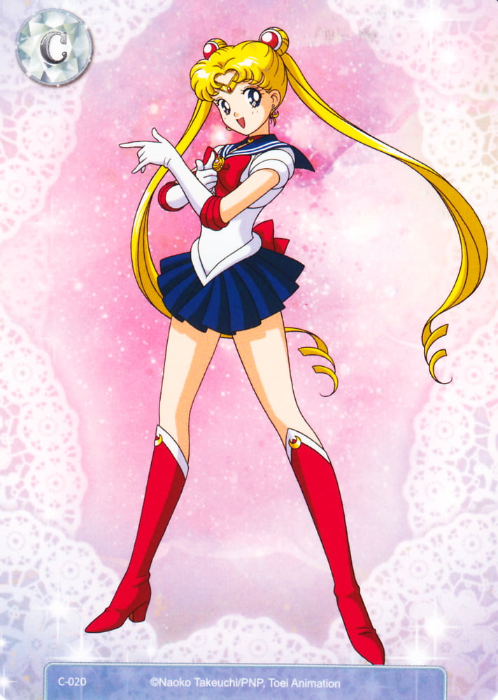 The Female Characters of: Sailor Moon #105782740