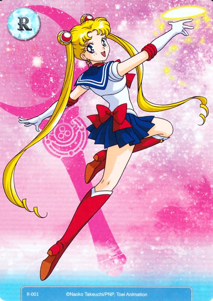 The Female Characters of: Sailor Moon #105782742