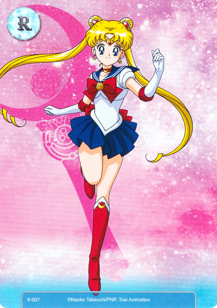 The Female Characters of: Sailor Moon #105782743