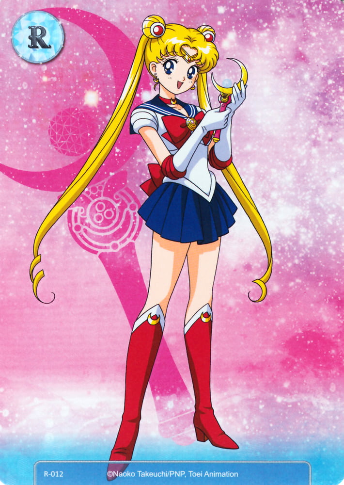 The Female Characters of: Sailor Moon #105782744