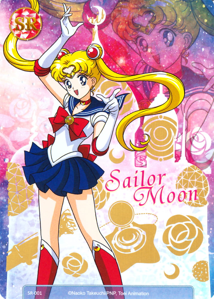 The Female Characters of: Sailor Moon #105782746
