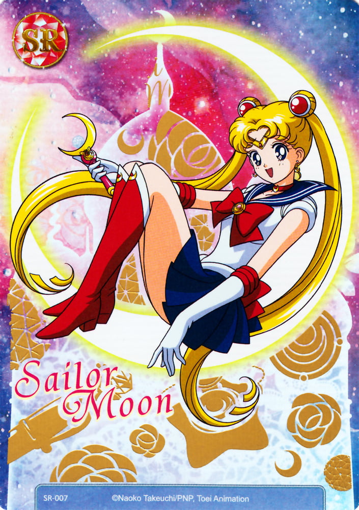 The Female Characters of: Sailor Moon #105782747