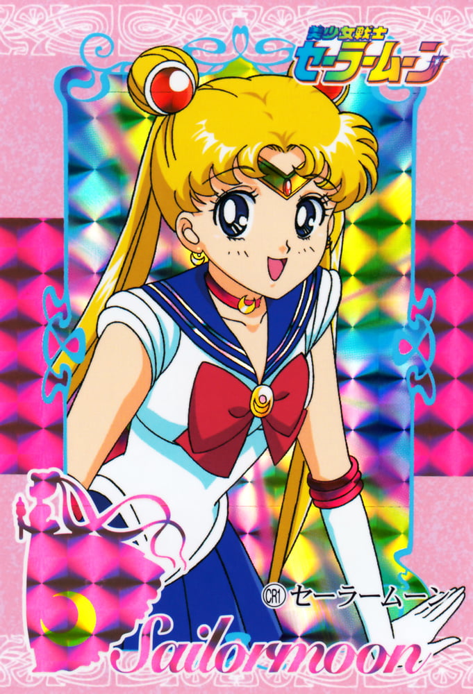 The Female Characters of: Sailor Moon #105782748