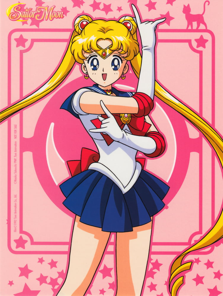 The Female Characters of: Sailor Moon #105782750