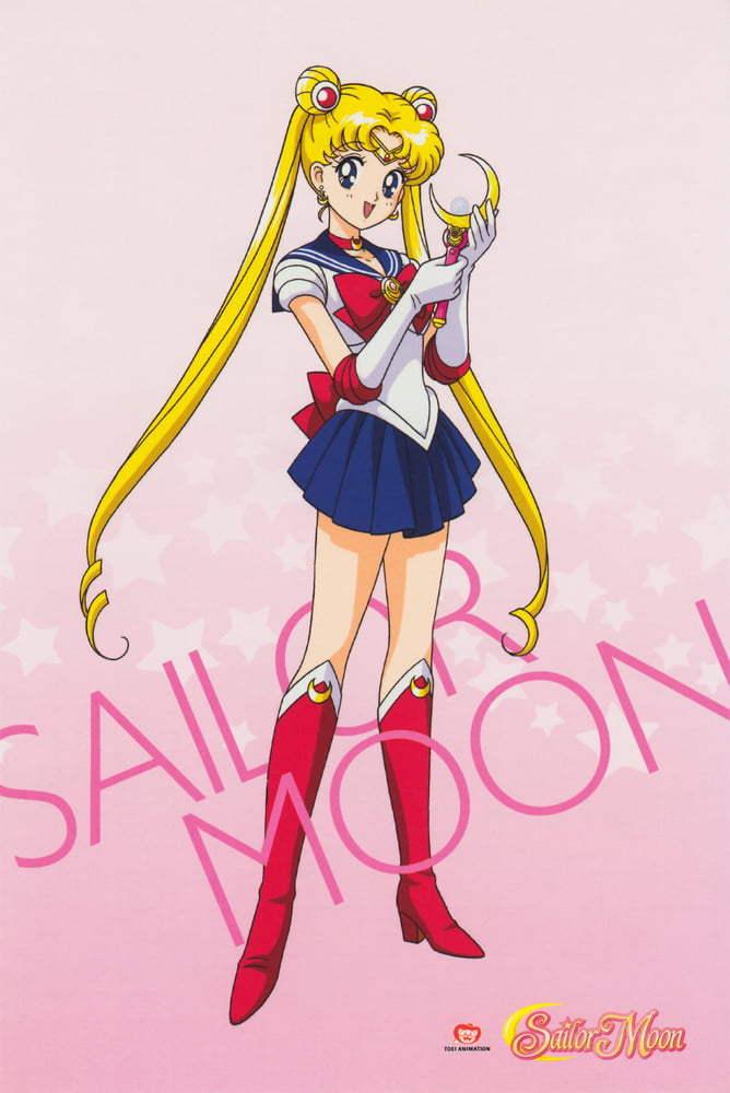 The Female Characters of: Sailor Moon #105782751
