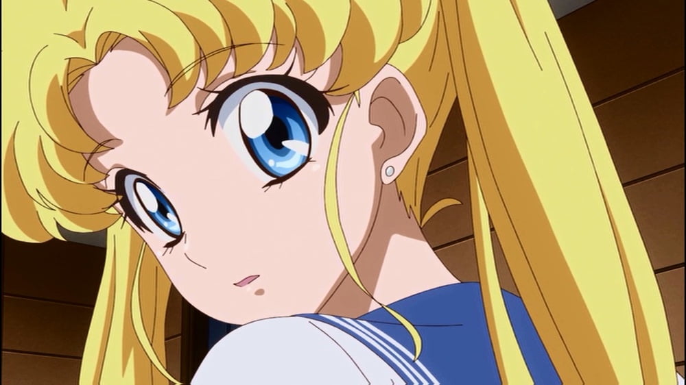 The Female Characters of: Sailor Moon #105782831
