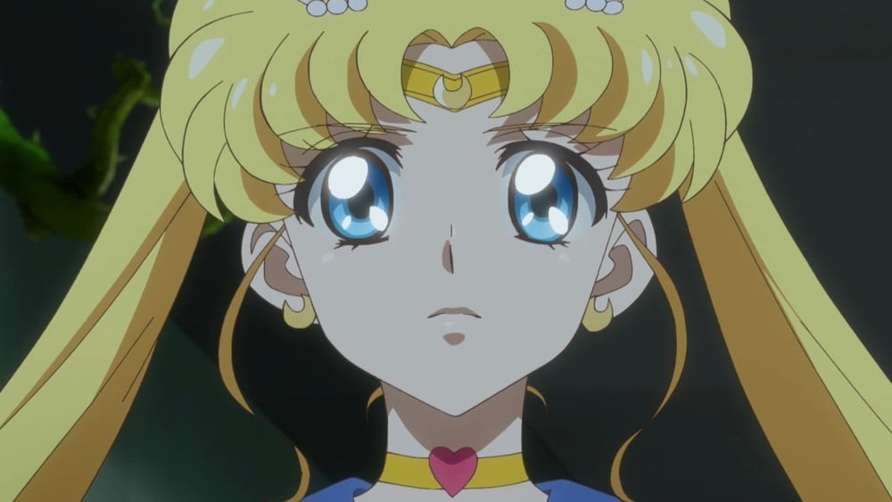 The Female Characters of: Sailor Moon #105782833