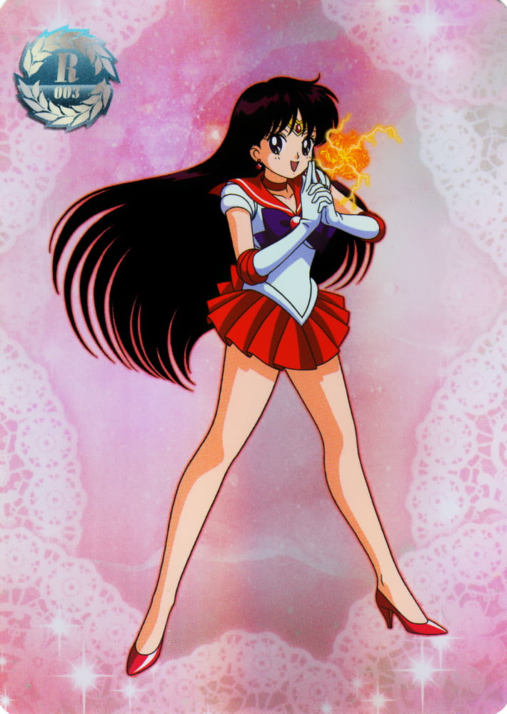 The Female Characters of: Sailor Moon #105782866