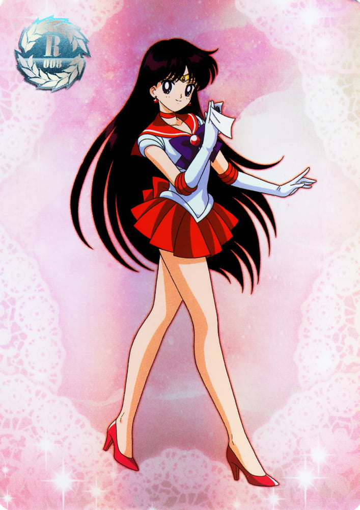 The Female Characters of: Sailor Moon #105782867