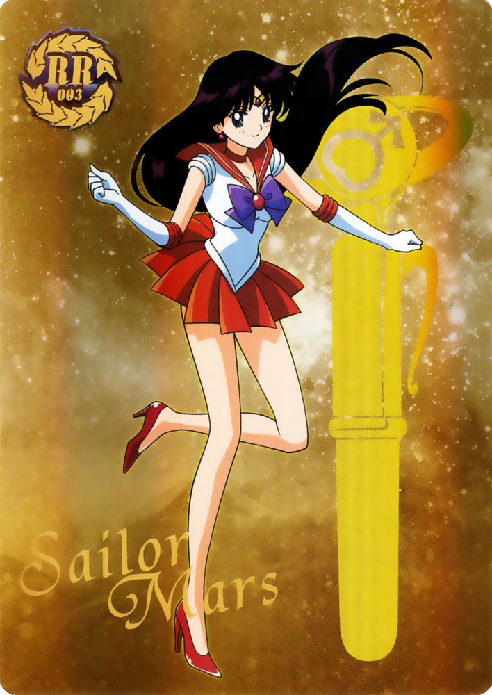 The Female Characters of: Sailor Moon #105782868