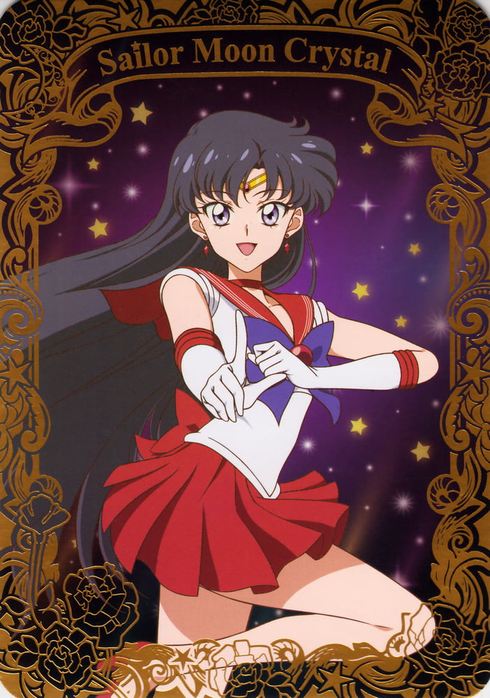 The Female Characters of: Sailor Moon #105782870
