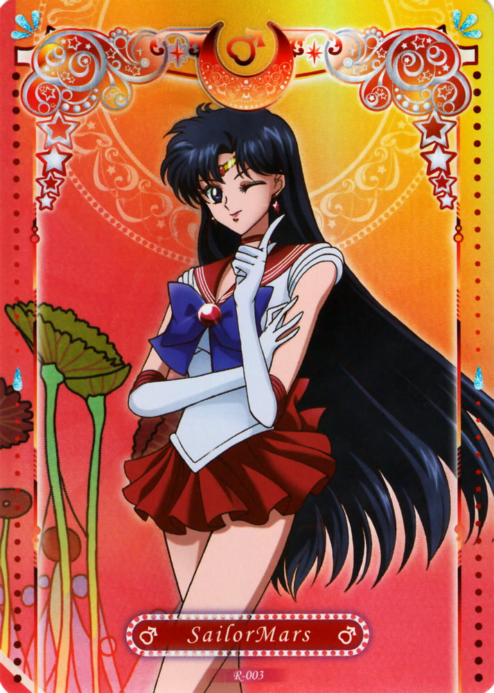 The Female Characters of: Sailor Moon #105782875