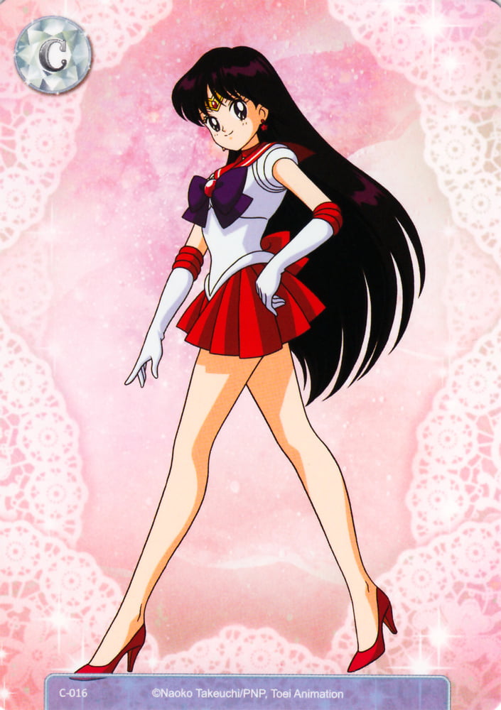 The Female Characters of: Sailor Moon #105782877
