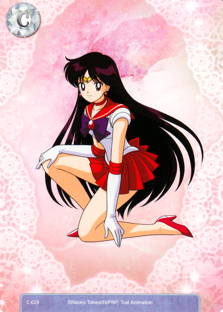 The Female Characters of: Sailor Moon #105782879