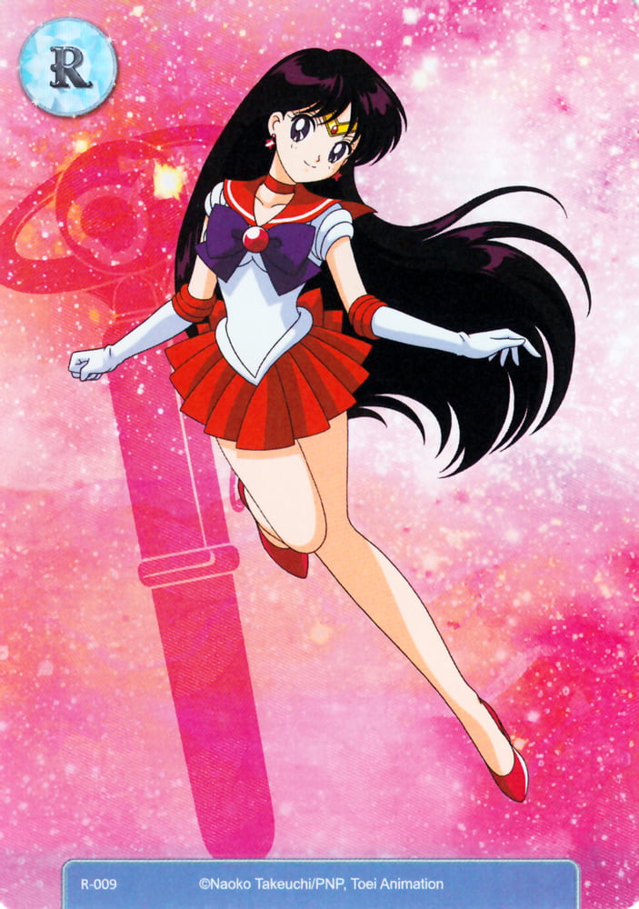 The Female Characters of: Sailor Moon #105782881