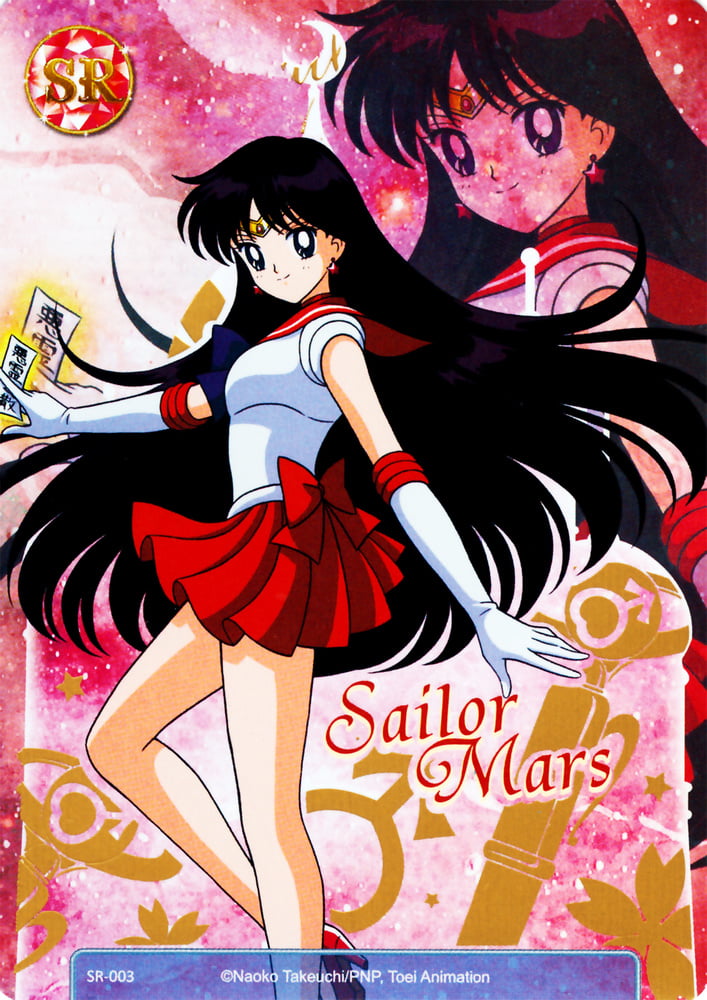 The Female Characters of: Sailor Moon #105782882