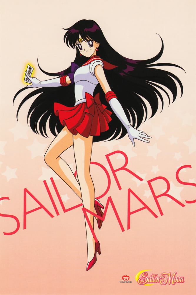 The Female Characters of: Sailor Moon #105782884