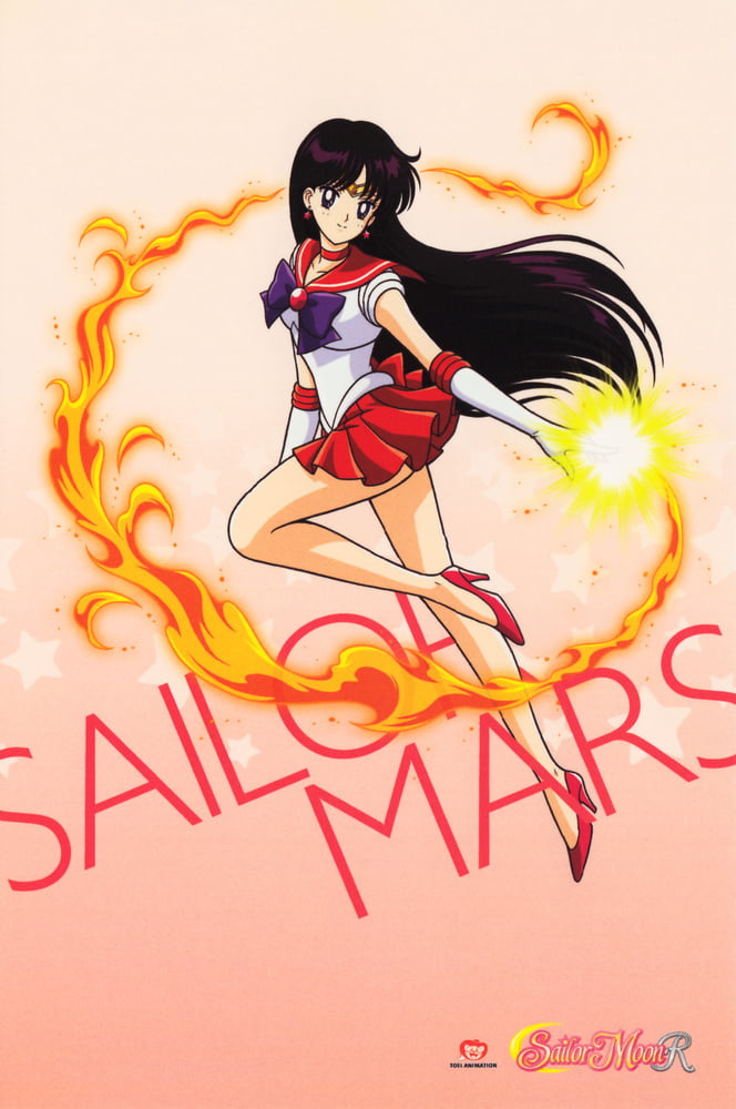 The Female Characters of: Sailor Moon #105782885
