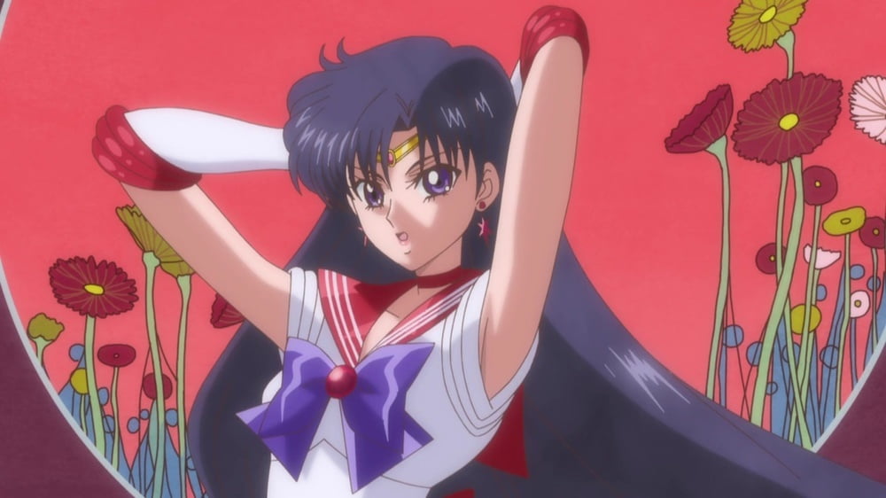 The Female Characters of: Sailor Moon #105782915