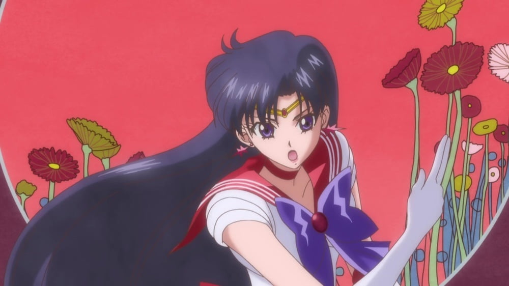The Female Characters of: Sailor Moon #105782916