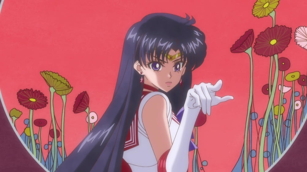 The Female Characters of: Sailor Moon #105782917