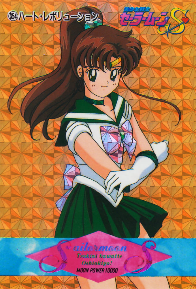 The Female Characters of: Sailor Moon #105782978