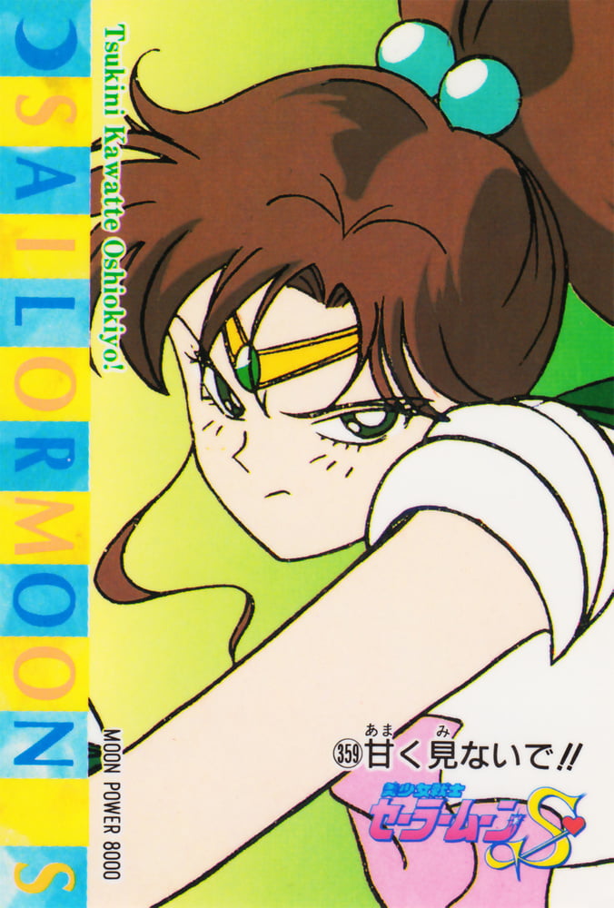 The Female Characters of: Sailor Moon #105782979