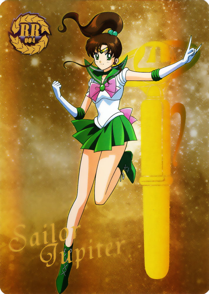 The Female Characters of: Sailor Moon #105782983