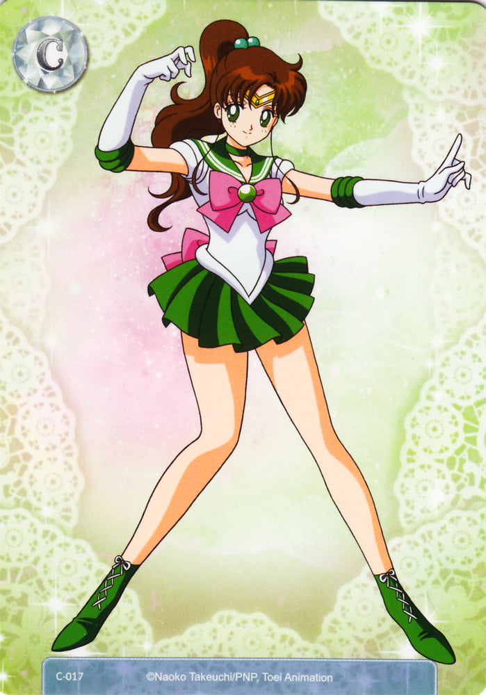 The Female Characters of: Sailor Moon #105782991