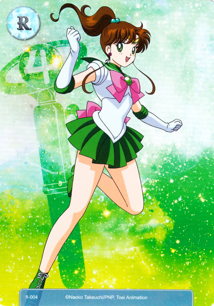 The Female Characters of: Sailor Moon #105782993