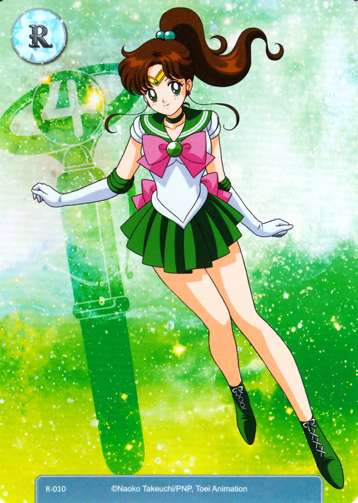 The Female Characters of: Sailor Moon #105782994